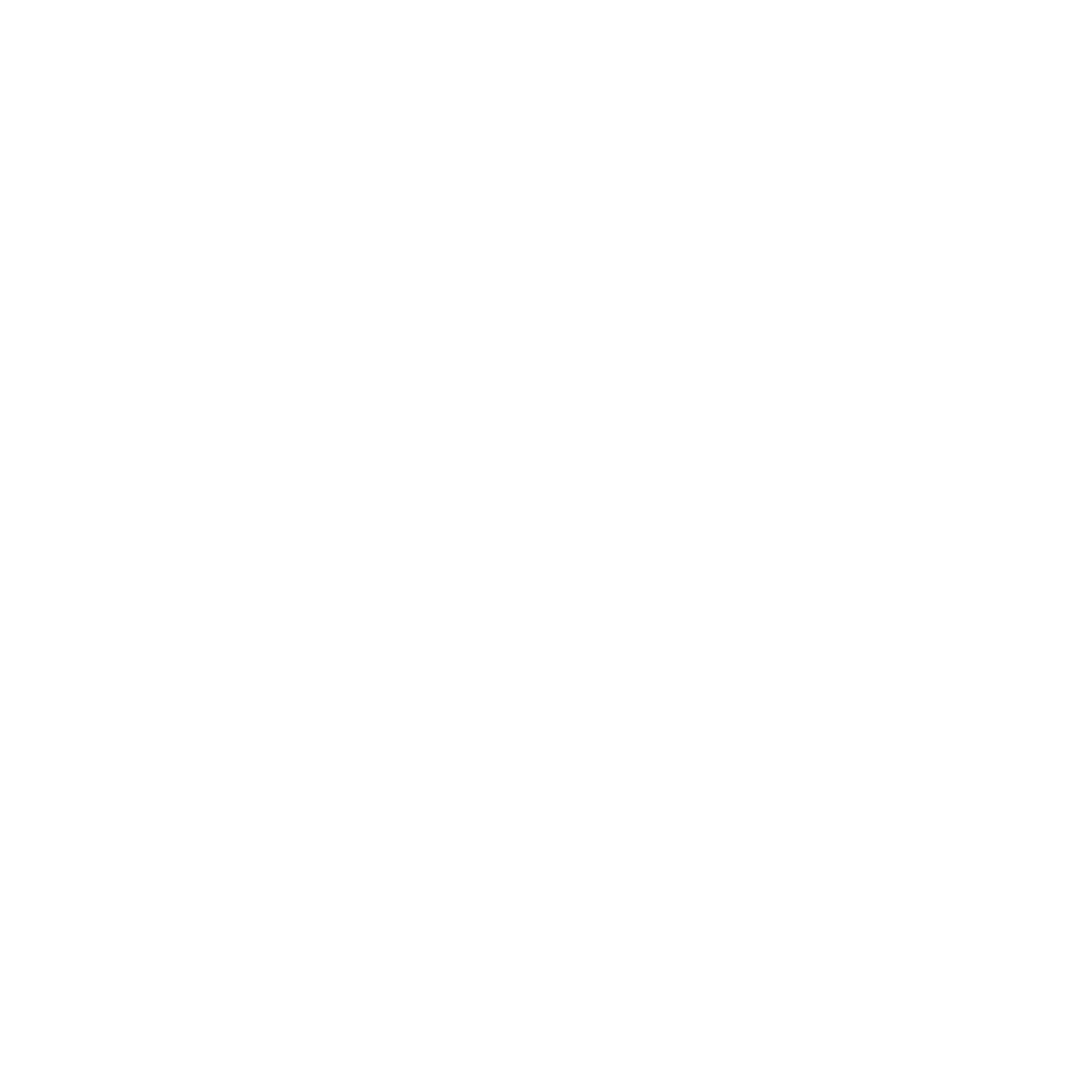NicoPneus
